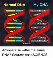 Image result for American DNA Meme