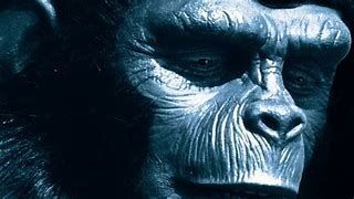 Image result for Planet of the Apes Forbidden Zone