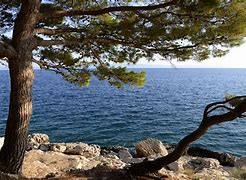 Image result for Makarska Croatia Nugal Beach