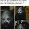 Image result for Cat Meme Repeat