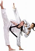 Image result for Deadly Martial Arts Kicks