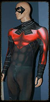 Image result for Nightwing New 52 Costume