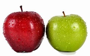 Image result for Fruit Apple Features