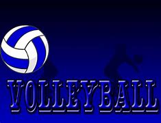 Image result for Cool Volleyball