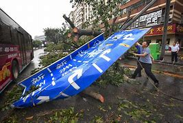 Image result for Shenzhen Typhoon