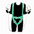 Image result for Body Harness Double Hook