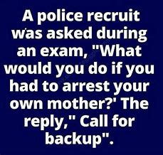 Image result for Daily Funny Jokes and Quotes