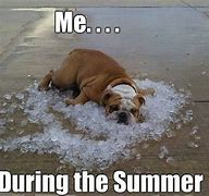 Image result for California Summer Heat Meme