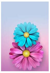 Image result for Flower Wallpaper iPhone XR