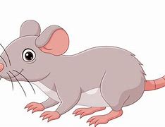 Image result for Cartoon Mouse Pictures Free