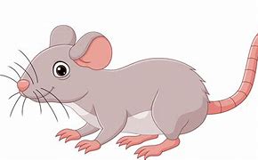 Image result for Little Mouse Animated