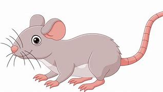 Image result for Hot Mouse Animated