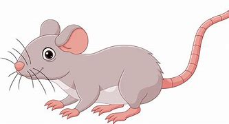 Image result for Cute Cartoon Mouse Picture for Kids