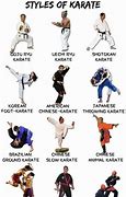 Image result for Newkarateinforomals Karate Styles