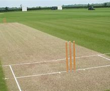 Image result for Cricket Pitch Side View Image