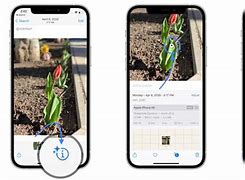 Image result for How to Look at Photo Info On iPhone