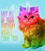 Image result for Work Cat Happy Birthday Memes