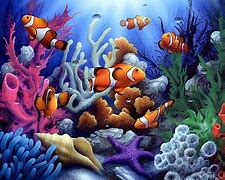 Image result for Fish Wallpapers for Desktop