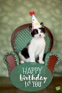 Image result for Cat Says Happy Birthday