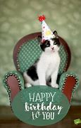 Image result for cat meme birthday