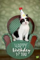 Image result for Kitty Cat Birthday Meme