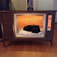 Image result for What is the biggest home TV?