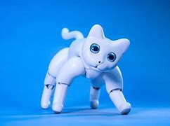 Image result for Is Mars a Cat