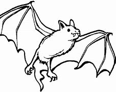 Image result for Bat Cartoon