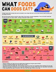 Image result for What Can Dogs Eat