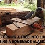 Image result for Manchineel Tree Wood
