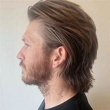 Image result for Awesome Mullets
