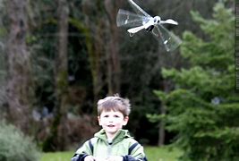 Image result for Remote Control Toys Bugs