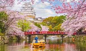 Image result for Osaka Castle at Night Cherry Blossom Viewing