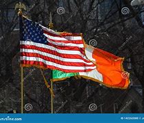 Image result for Irish American Flag