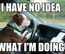 Image result for Drivers Test Meme