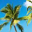 Image result for Beaches Wallpaper iPhone