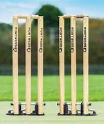 Image result for Spring Back Wickets