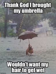 Image result for Good Work Umbrella Meme