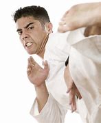 Image result for Karate