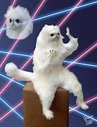 Image result for Persian Cat Dance Meme