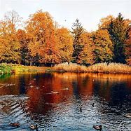 Image result for co_to_znaczy_zespoły_przyrodniczo krajobrazowe