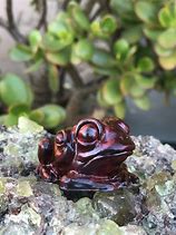 Image result for Small Toad in Resin