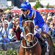 Image result for Racehorse