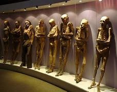 Image result for Mexico Mummies