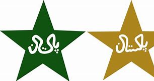 Image result for Pakistani Cricket Players