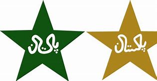 Image result for Pakistan Cricket Team Players