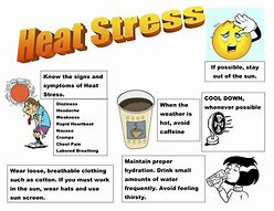 Image result for Heat Stress Memes