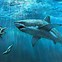 Image result for Artists Inspired by Sea Life