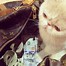 Image result for Cat with Money PFP