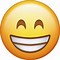 Image result for Bored Emoticon